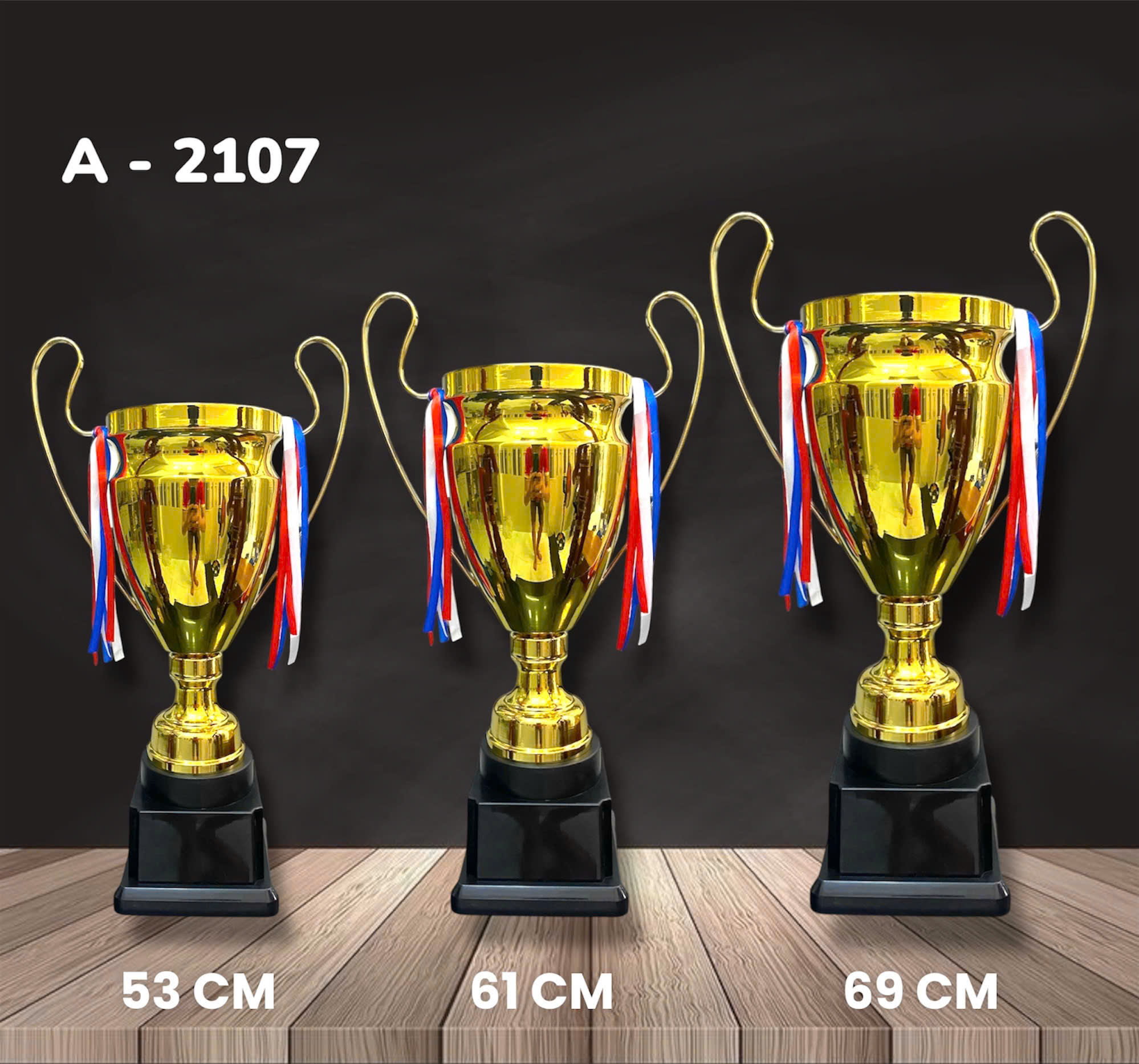 Cúp Kim Loại - 2107