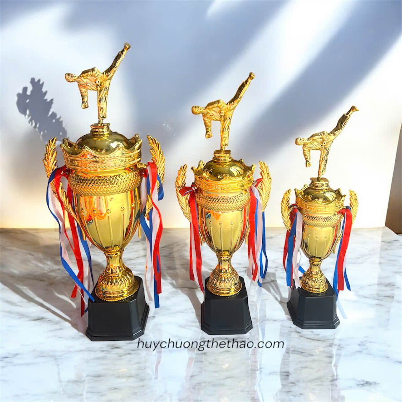 Cúp Nhựa Võ Thuật